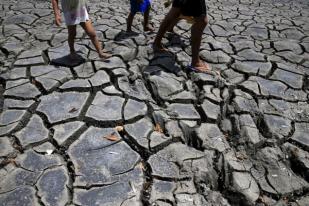 Oxfam: Bantuan Darurat Dibutuhkan untuk Atasi El Nino