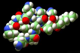 Bakteri yang Kebal Antibiotik Terakhir Ada di Inggris