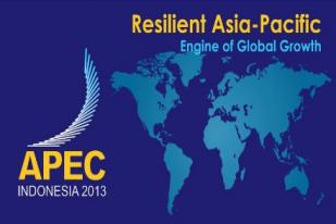 APEC 2013: Pemerintah Inginkan Bali Goals