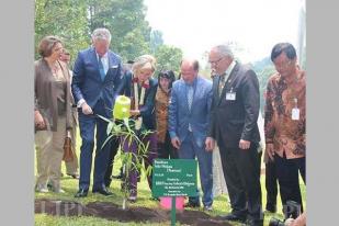 Kunjungi Kebun Raya Bogor, Putri Astrid Tanam Pohon Bambu