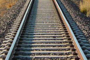 Darmin: Transportasi LRT Gunakan Rel Standard Gauge