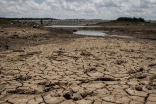 Puluhan Juta Orang Terkena Dampak Fenomena El Nino