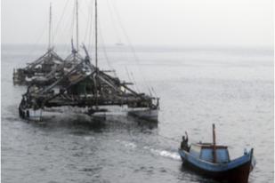 LIPI: Teluk Jakarta Tercemar, Beberapa Kerang dan Ikan Tak Aman Konsumsi