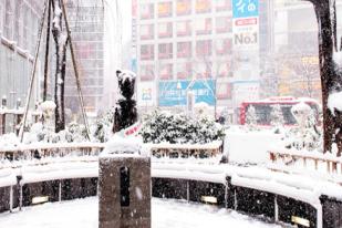 Badai Salju di Jepang, Patung Anjing Hachiko Mendapat Topi dan Teman Baru