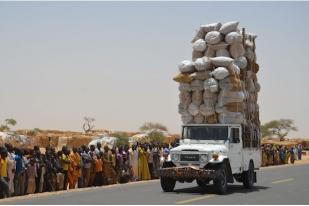 Niger Kerja Sama Chad Atasi Boko Haram