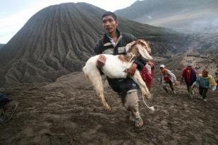 Kasada di Tengah Erupsi Bromo