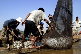 Pelaku IUU Fishing Bebas, KNTI: Contoh Buruk Penegakan Hukum 