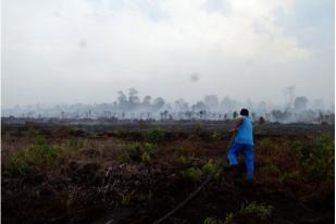 BMKG: Jarak Pandang Mulai Turun di Riau