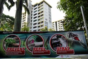 Jumlah Kasus Zika di Singapura Naik Jadi 82