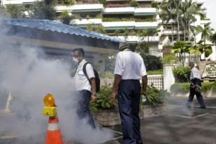 Singapura Imbau Perempuan Hamil Periksakan Diri Terkait Gejala Zika