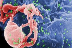 Kemanjuran Antibodi HIV Baru 