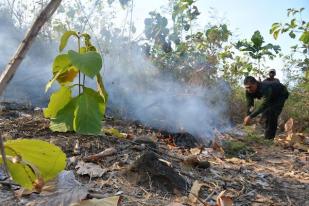 Greenpeace Soroti Intimidasi Terhadap Kasus Kebakaran Lahan