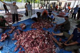 Ahmadiyah Berkurban 161 Sapi dan 385 Kambing