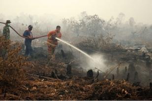 Legitimasi Hukum Tidak Bisa Dicampuri Asing