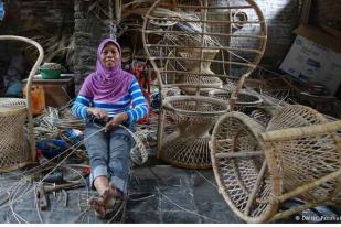 Rotan Ramah Lingkungan Selamatkan Hutan