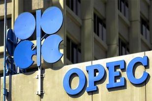 Presiden Jokowi: Utamakan APBN, Tak Masalah Keluar Dari OPEC