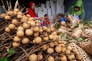 Indonesia Kalah Sengketa Perdagangan dengan AS di WTO