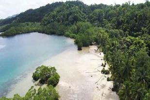 Korporasi Dimudahkan Manfaatkan Pengelolaan Pulau Kecil