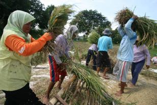 Pemerataan Ekonomi Sasar 40% Kelompok Masyarakat Terbawah