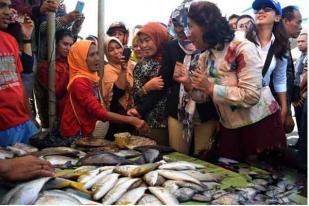 Susi: Laut Banda Tempat Bertelur Ikan Tuna