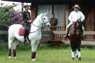 Presiden Jokowi Akan Hadiri Parade 1001 Kuda di NTT