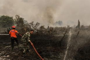 BMKG: Terpantau 4 Titik Api di NTT dan NTB