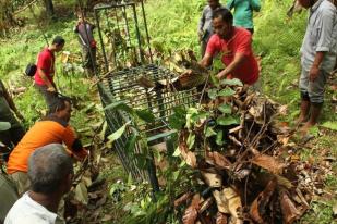 Menyelamatkan Lingkungan Indonesia