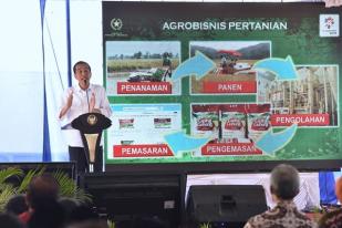 Presiden Jokowi Ajak Petani Kuasai Agrobisnis Pertanian