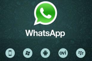 YLKI Desak WhatsApp Perbaiki Konten
