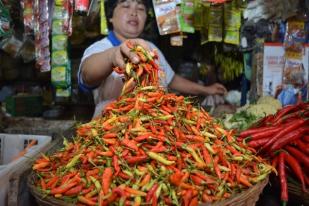 Harga Cabai Merah di Padang Jadi Rp48.000/Kg