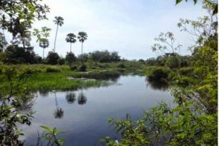 UNESCO: Penyediaan Air Tak Sebanding Kenaikan Penduduk Dunia