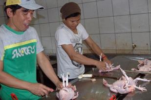 Kementan: Telur-Daging Ayam Jelang Ramadan Cukup Tersedia