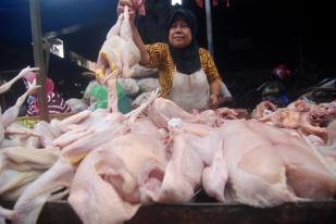 Pemkot Bandung Siapkan 300.000 Daging Ayam Beku