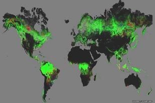 Deforestasi Hutan Dunia Dapat Dilihat di Google Maps