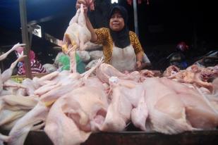 Harga Daging Ayam Rp60.000/kg di Palangka Raya