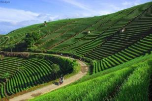 Gubernur Jabar Sebut Panyaweuyan Majalengka Kebun Terindah