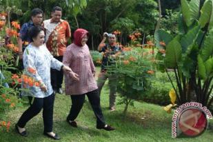 Taman Hutan Kota Turunkan Suhu Surabaya 2 Derajat