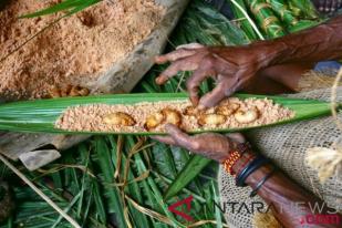 Festival Pesta Ulat Sagu Upaya Jaga Hutan