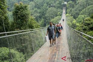 Green Wall Restorasi 300 Hektare di TN Gunung Gede Pangrango