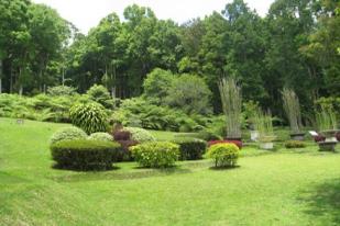 Pameran Pembangunan Kebun Raya Daerah di Kebun Raya Bogor