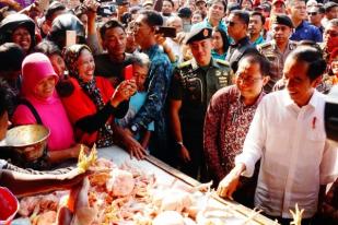 Jokowi Blusukan Dilapori Harga Ayam Turun Tapi Masih Rp31000