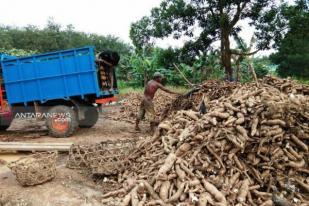 Ribuan Warga Moromoro Mesuji Lampung Belum Terdaftar sebagai Pemilih