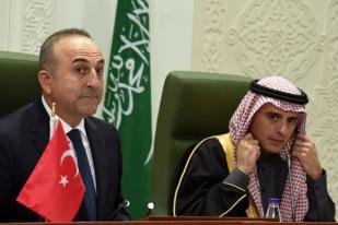 Arab Saudi dan Turki Beri Dukungan Oposisi Suriah