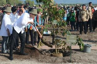 Jokowi Ajak Warga Hijaukan Kembali Kawasan Danau Toba