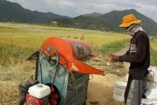 BPS: September 2016 Harga Gabah Kering Panen Rp 4.537/Kg