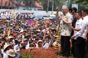 Pemerintah Pastikan Tidak Ada Impor Kentang Sayur