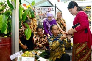 Arab Saudi Lebih Memilih Buah Tropis Indonesia