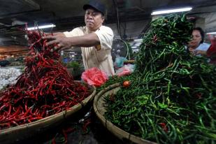 Harga Cabai Merah Keriting Rp 120.000/Kg di Lebak