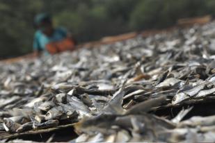 Nelayan Belitung Dapat Hibah 10 Mesin Pengering Ikan