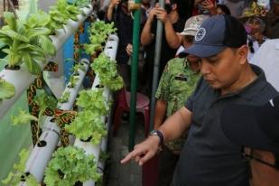 Warga Kampung Simorejo Budi Daya Tanaman